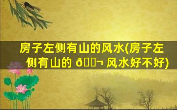 房子左侧有山的风水(房子左侧有山的 🐬 风水好不好)